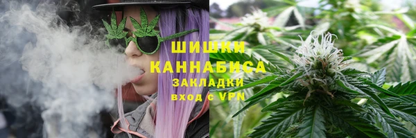 ГАЛЛЮЦИНОГЕННЫЕ ГРИБЫ Алексеевка